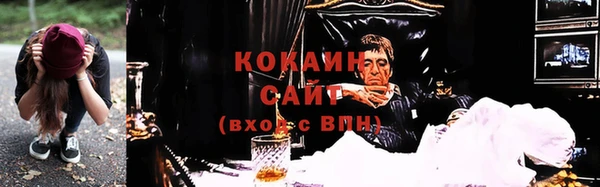 крисы Нея