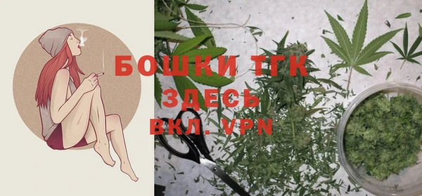 крисы Нея
